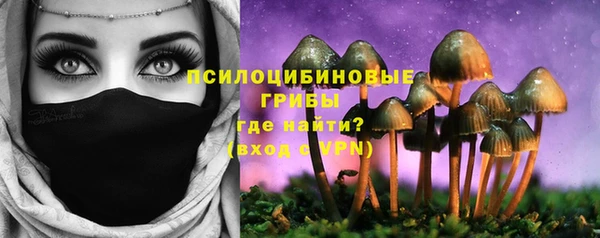 марки lsd Абаза
